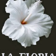 Магазин цветов LA Floria фото 19 на сайте Troparevo-nikulino.su