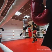 Клуб бокса и единоборств Rocky фото 2 на сайте Troparevo-nikulino.su