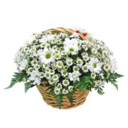 Цветочный салон FlowerStyle фото 1 на сайте Troparevo-nikulino.su