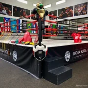 Школа бокса Boxing Hall фото 1 на сайте Troparevo-nikulino.su