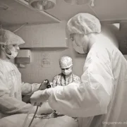 Ветеринарный центр малотравматичной хирургии и комплексного восстановления Лебеди на Мичуринском проспекте фото 5 на сайте Troparevo-nikulino.su