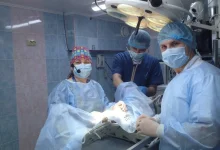 Ветеринарный центр малотравматичной хирургии и комплексного восстановления Лебеди на Мичуринском проспекте фото 2 на сайте Troparevo-nikulino.su