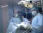 Ветеринарный центр малотравматичной хирургии и комплексного восстановления Лебеди на Мичуринском проспекте фото 2 на сайте Troparevo-nikulino.su