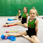 Детская спортивная школа по художественной гимнастике и спортивной акробатике FD на проспекте Вернадского фото 3 на сайте Troparevo-nikulino.su