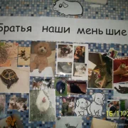 Школа Тропарево с дошкольным отделением фото 7 на сайте Troparevo-nikulino.su