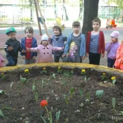 Экологический детский сад и развивающий центр Ребятёнок фото 8 на сайте Troparevo-nikulino.su