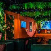 Пальма Lounge фото 1 на сайте Troparevo-nikulino.su