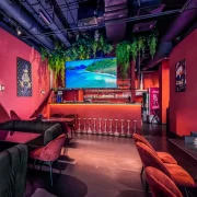 Пальма Lounge фото 19 на сайте Troparevo-nikulino.su