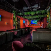 Пальма Lounge фото 15 на сайте Troparevo-nikulino.su